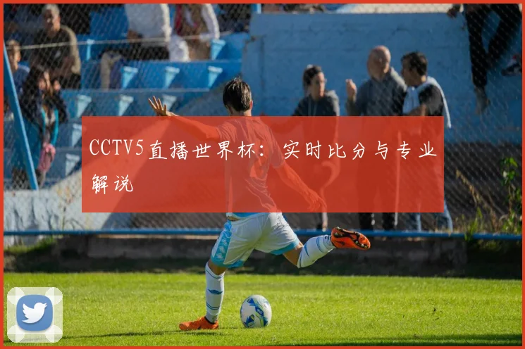 CCTV5直播世界杯:实时比分与专业解说